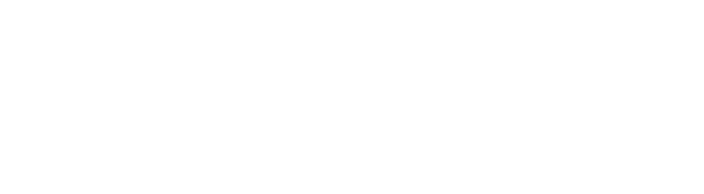 Black Noir Capital Partners