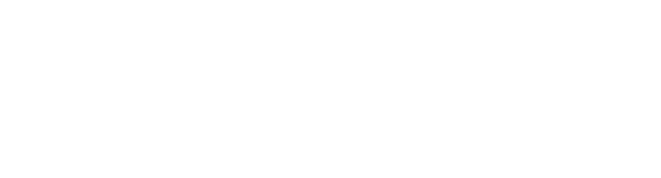 Partner Logo 06
