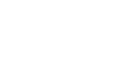 Partner Logo 07